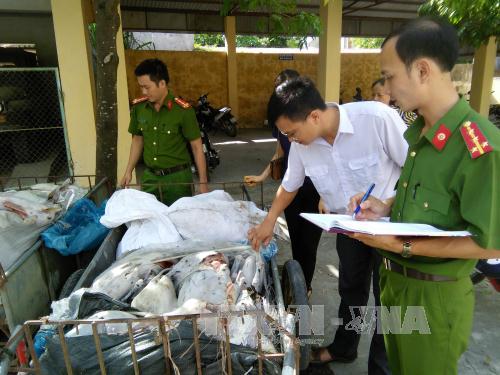 Ninh Bình: Phát hiện 42 con dê đã làm thịt bốc mùi hôi thối, có nguồn gốc... Sơn La